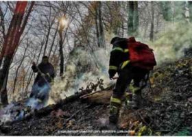 ზეკარის ტყეში ხანძარია