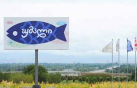 კომპანია „ახალი თევზი“  შესაძლოა დაიხუროს - "საგზაო დეპარტამენტმა გზა დაგვიკეტა"