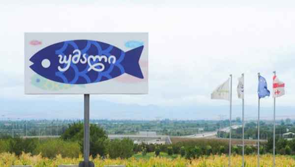 კომპანია „ახალი თევზი“  შესაძლოა დაიხუროს - "საგზაო დეპარტამენტმა გზა დაგვიკეტა"
