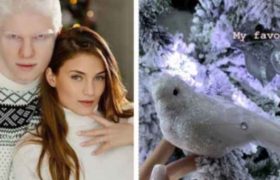 როგორი ნაძვის ხე აქვთ ბერას და ნანუკას? - ვიდეო