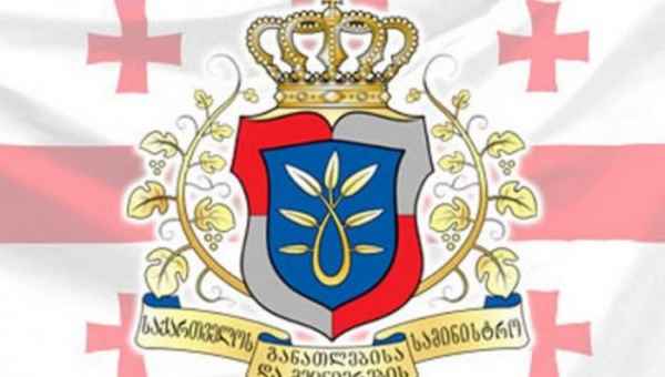 საქართველოში განათლების სისტემამ კრახი განიცადა