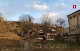 4 წლის გოგონას გარდაცვალების საქმეზე დედა დააკავეს