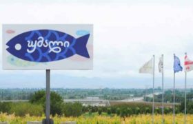 თევზის მწარმოებელი კომპანია „უმალი“, შესაძლოა, აღარ დაიხუროს