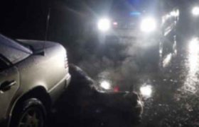 ქუთაისთან მანქანა ცხენს დაეჯახა ქუთაისთან მანქანა ცხენს დაეჯახა