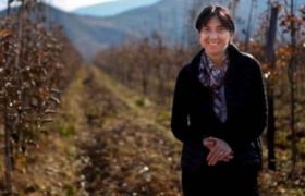 "რასაც ჩემი თავი და ოჯახი შევწირე, იმას ვყიდი" - რა დაემართა ნინო ზამბახიძეს