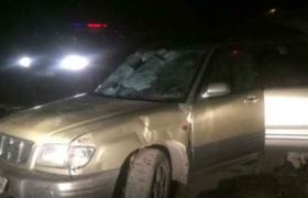 "ვნახე, როგორ ამოტრიალდა მანქანა და როგორ ჩავარდა არხში" - ავარიას ფოთთან 65 წლის მამაკაცი ემსხვერპლა