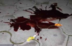 რუსთავში იუსტიციის სახლთან ახალგაზრდა მამაკაცი დაჭრეს - ვიდეო რუსთავში იუსტიციის სახლთან ახალგაზრდა მამაკაცი დაჭრეს - ვიდეო