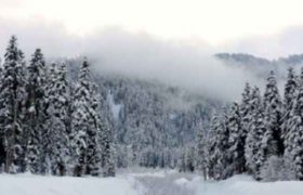 შოვში თოვლის ფესტივალზე 23 წლის ბიჭი დაიკარგა