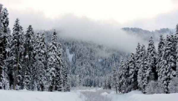 შოვში თოვლის ფესტივალზე 23 წლის ბიჭი დაიკარგა