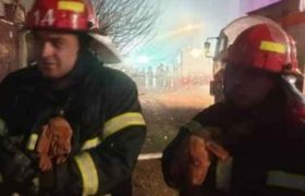 მეხანძრეებმა დიდ დიღომში ხანძრიდან ლეკვები გამოიყვანეს მეხანძრეებმა დიდ დიღომში ხანძრიდან ლეკვები გამოიყვანეს