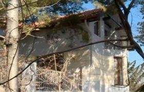 პოლიციამ მინისტრ ქობულიას მძარცველთა კვალსაც კი ვერ მიაგნო - ისინი სახლში უკანა კარიდან შევიდნენ