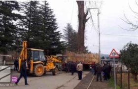 ივანიშვილის ხე გზაში გაიჭედა