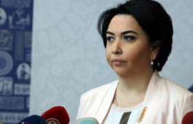ეკა ბესელია პოლიტიკურ პარტიას ქმნის