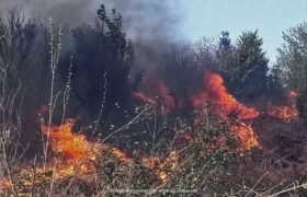 ოზურგეთში, ტყეში გაჩენილი ხანძრის ლიკვიდირებაში ვერტმფრენი ჩაერთო