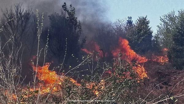 ოზურგეთში, ტყეში გაჩენილი ხანძრის ლიკვიდირებაში ვერტმფრენი ჩაერთო