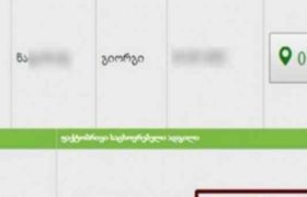მთაწმინდის ამომრჩეველმა საცხოვრებელ ადგილად ბუჩქის ძირი მიუთითა