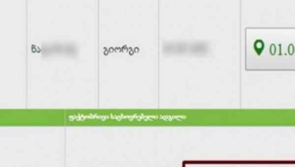 მთაწმინდის ამომრჩეველმა საცხოვრებელ ადგილად ბუჩქის ძირი მიუთითა