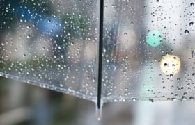 საქართველოში წვიმა, ელჭექი და სეტყვაა მოსალოდნელია 