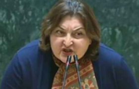 ადა მარშანია - "რატომ არ არის აქამდე დაპატიმრებული გაბუნია? თადუმაძე, აუუუ!"