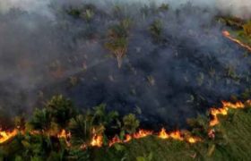 ხანძარს ამაზონის ტყეებში ბრაზილია ვერ ჩააქრობს