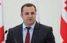 დავით სუჯაშვილი ირაკლი ღარიბაშვილის მოადგილედ დაინიშნა