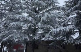 საქართველოს მაღალმთიანეთში მოთოვა