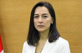 შინაგან საქმეთა მინისტრის მოადგილედ ნინო ცაციაშვილი დაინიშნა