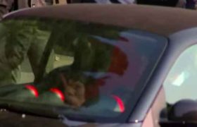 კალაძემ აქცია "სირცხვილიას" მონაწილეებს შუა თითი უჩვენა 