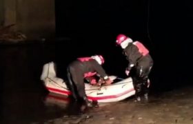 მეხანძრე-მაშველებმა მდინარეში ჩარჩენილი ძაღლი გადაარჩინეს - ვიდეო მეხანძრე-მაშველებმა მდინარეში ჩარჩენილი ძაღლი გადაარჩინეს - ვიდეო