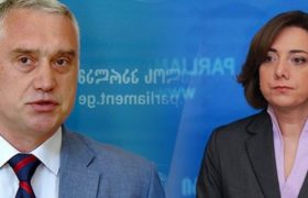 ძიძიგური სამადაშვილს "მე რომ სააკაშვილის პუდელი დაგიძახოთ, მოგეწონებათ?"
