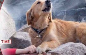 ალბანეთში მიწისძვრის მსხვერპლთა რაოდენობა გაიზარდა ალბანეთში მიწისძვრის მსხვერპლთა რაოდენობა გაიზარდა