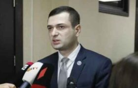 პროკურორი გოზალიშვილი - "მელიასთვის მანდატის შეჩერება პარლამენტმა უნდა გადაწყვიტოს"