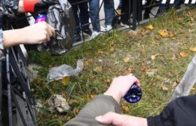 მოძრაობა "გაბედეს" წევრებმა თბილისის სასამართლოს ეზოსთან ლობიო დათესეს