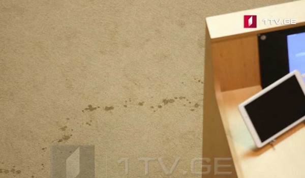 პარლამენტში ფეკალიების სუნი დგას - მომხდარზე პასუხისმგებლობა "სირცხვილიამ" აიღო