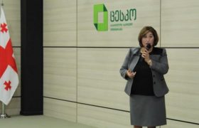 თამარ ჟვანია დაზღვევით სარგებლობდა, თუმცა, თანხას არ იხდიდა - კორუფციის კიდევ ერთი მაგალითი ცესკოდან