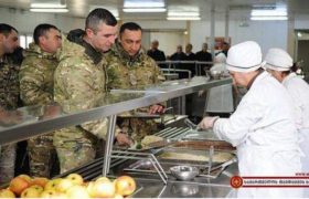 კომპანია, რომელიც ჯარისთვის გაყინული ხორცის მიწოდებაზე 3-ჯერ დაჯარიმდა, ყოფილი დეპუტატის, გოდერძი ბუკიას, შვილს ეკუთვნის