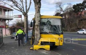 თბილისში ავტობუსი ხეს შეეჯახა - დაიღუპა შუახნის ქალი თბილისში ავტობუსი ხეს შეეჯახა - დაიღუპა შუახნის ქალი