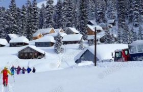 ბაკურიანში ახალგაზრდა ქალი სრიალის დროს დაიღუპა