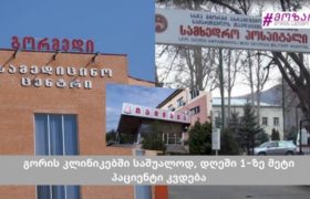 გორის საავადმყოფოებში, საშუალოდ, დღეში 1-ზე მეტი პაციენტი კვდება