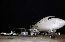 იტალიაში ჩინელი ექიმების ჯგუფი ჩაფრინდა