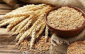 არის თუ არა საქართველოში ხორბლის საკმარისი მარაგი?