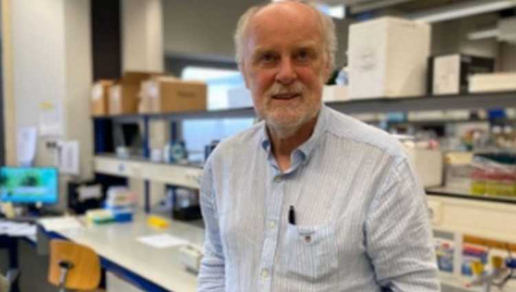 ჰოლანდიაში კორონავირუსის ანტისხეული აღმოაჩინეს, რომელიც ვირუსს დაბლოკავს