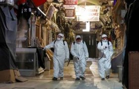 თურქეთში კოვიდ 19-ის გავრცელების პიკს მომავალ კვირაში ელოდებიან