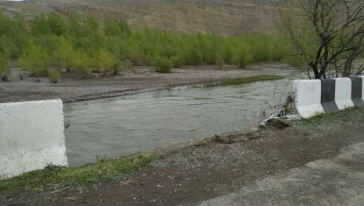 გორთან მანქანა მტკვარში გადავარდა - მძღოლი დაიღუპა