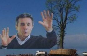 ივანიშვილის ცაცვის ხის გადატანისას მუშა დაშავდა