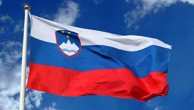 სლოვენიის მთავრობა - ჩვენთან კორონავირუსის ეპიდემია დასრულდა