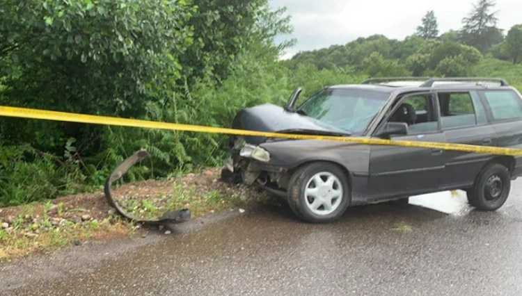წალენჯიხაში მანქანა ამოტრიალდა - 1 ქალი დაიღუპა
