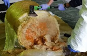 პოლონეთის პოლიციამ 3 ტონაზე მეტი კოკაინი ამოიღო