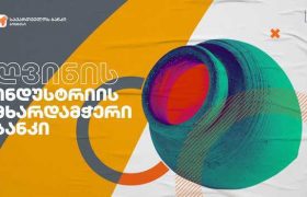 საქართველოს ბანკის მხარდაჭერით შპს ვივიმ ვენახები გააშენა