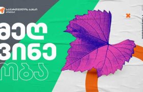 საქართველოს ბანკის მხარდაჭერით  ქართული ღვინისა და ალკოჰოლური სასმელების კომპანია GWS-ი  ვენახებს განაახლებს